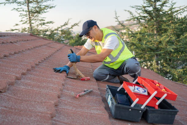 Best Metal Roofing Contractor  in Vale, OR